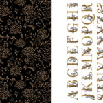 9780594240457_009_iart