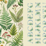 9781915191144_007_iart